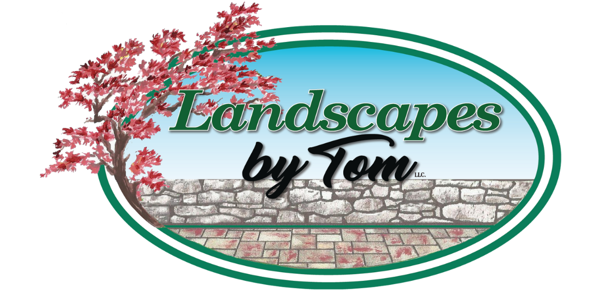 toms landscaping 2024 Logo