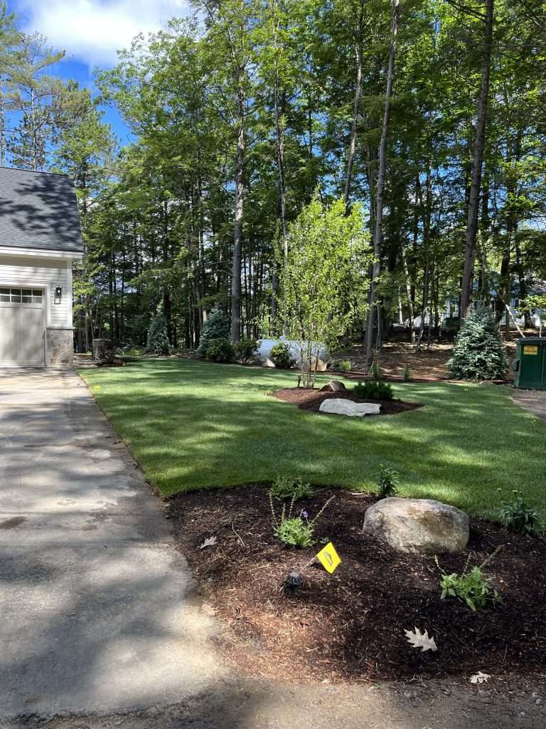 Front yard landscaping with fresh hydroseed lawn, ornamental trees, natural boulders, mulched planting beds, and woodland-inspired landscape design for a New Hampshire home