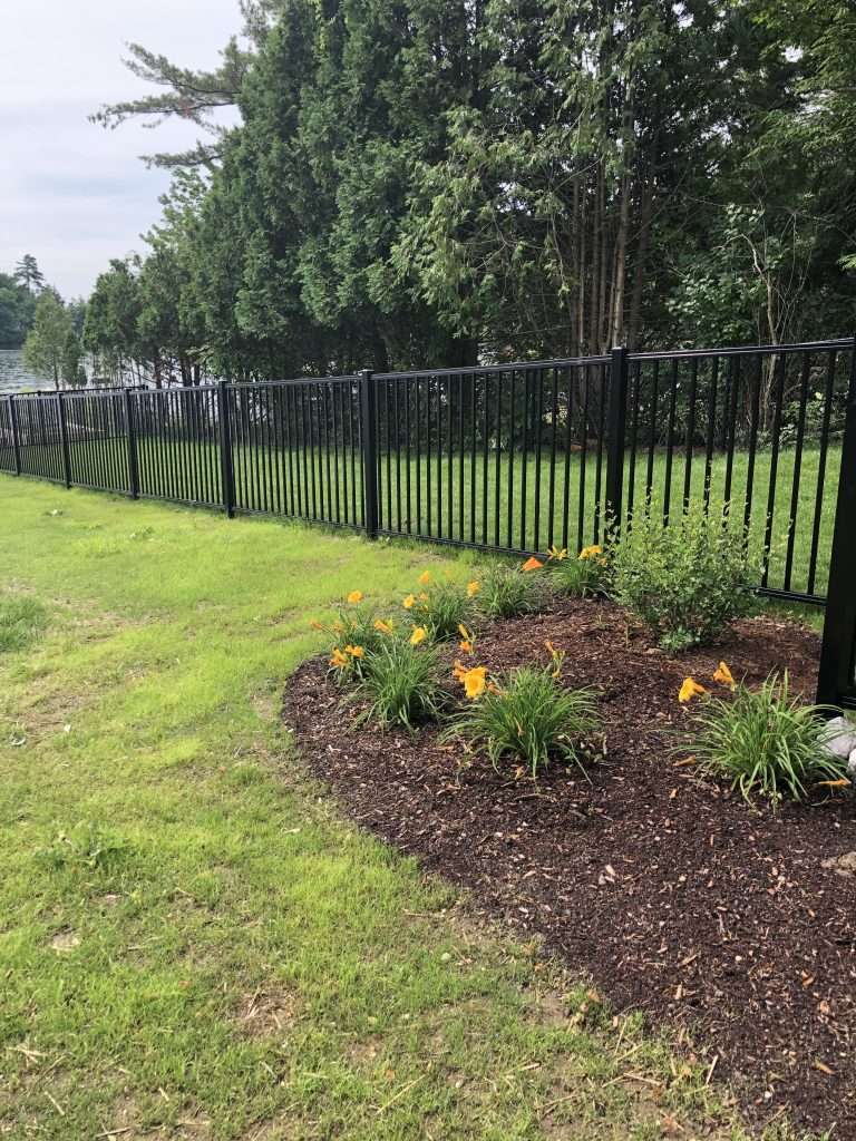 fenced in dog area