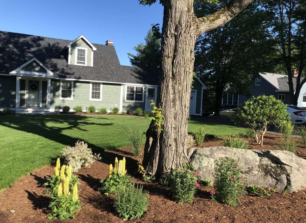 Front yard landscape design with perennial gardens, mulch beds, and natural boulder accents by Landscapes by Tom in New Hampshire