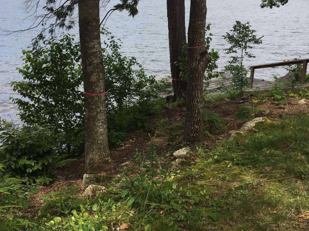 Lakefront erosion control and natural shoreline landscaping project by Landscapes by Tom in New Hampshire