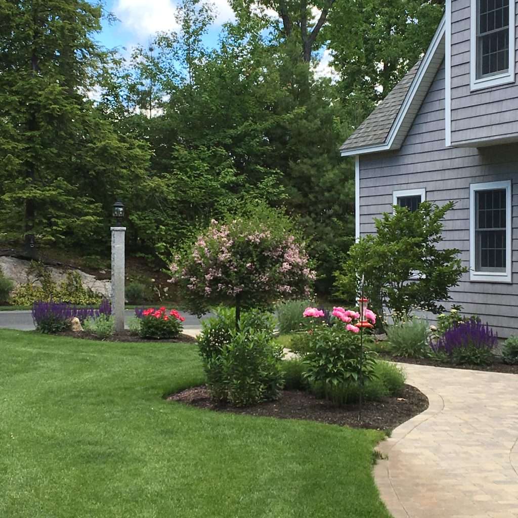 new plantings for entry walkway