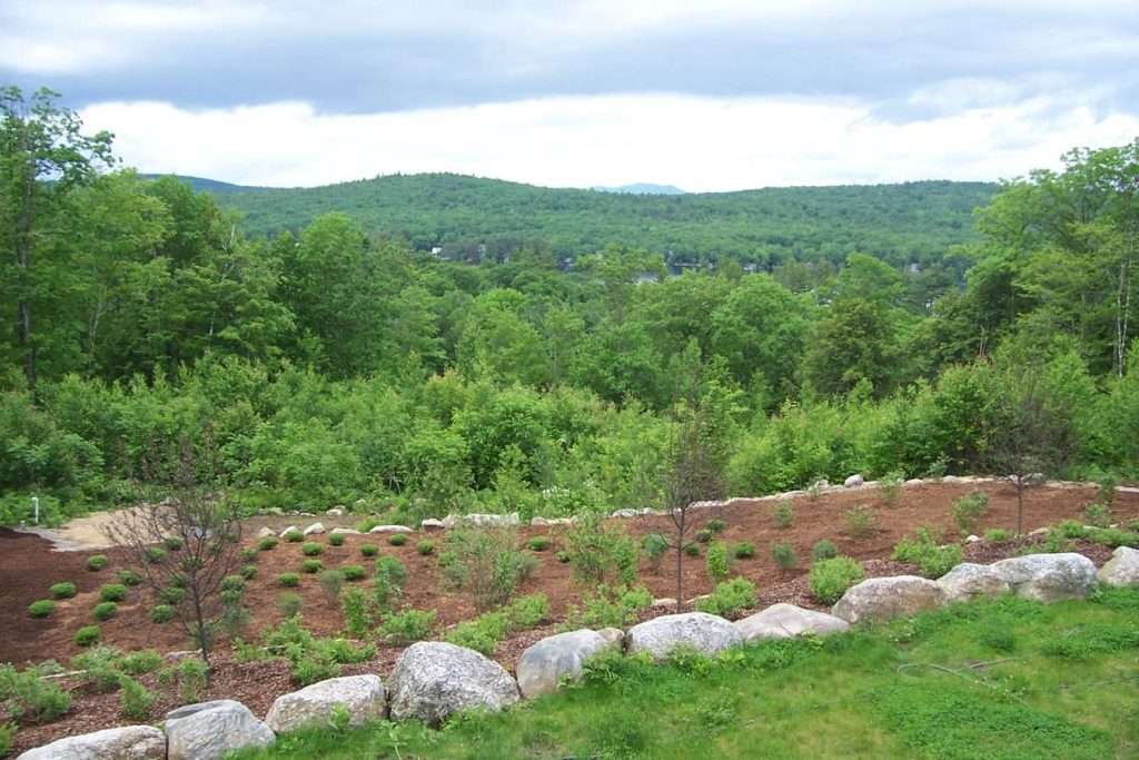 Hillside landscape installation with native plantings, mulch beds, and natural boulder accents by Landscapes by Tom in New Hampshire