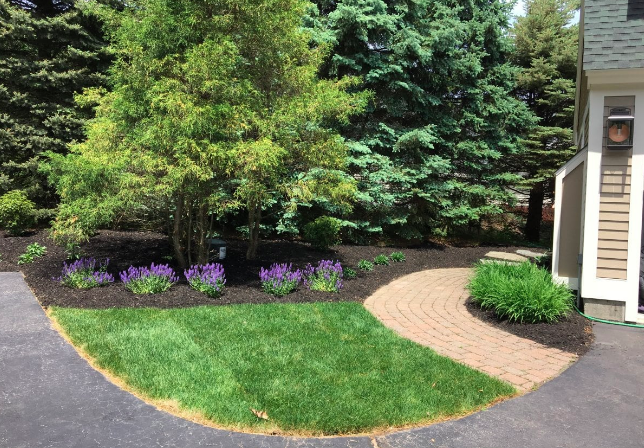 Curved brick walkway with foundation landscaping, ornamental trees, flowering perennials, fresh mulch beds, and professionally designed curb appeal enhancements for a New Hampshire home