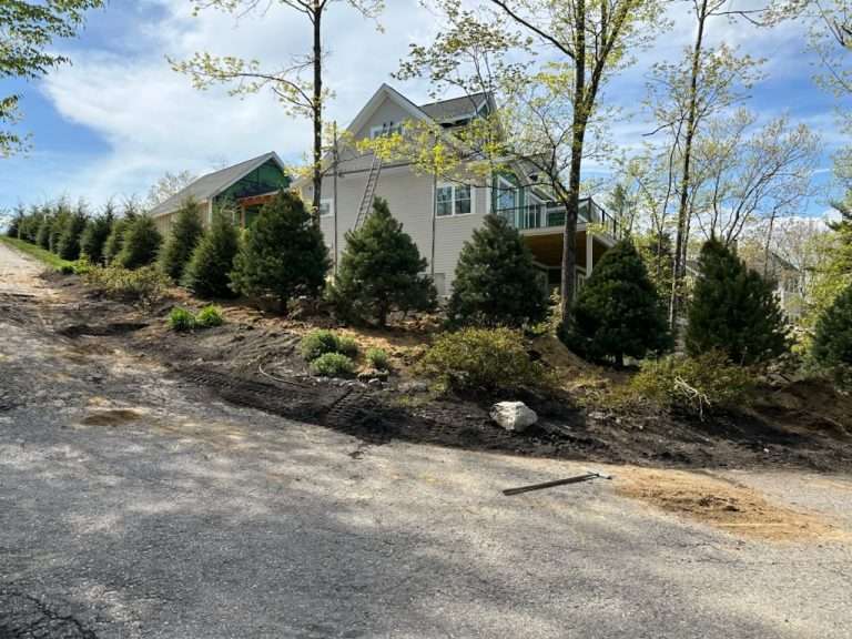 privacy plantings