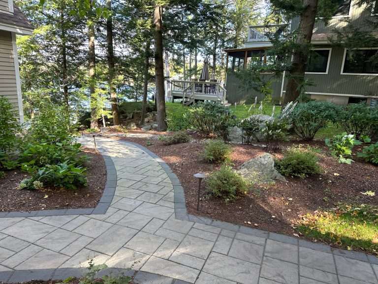 backyard oasis